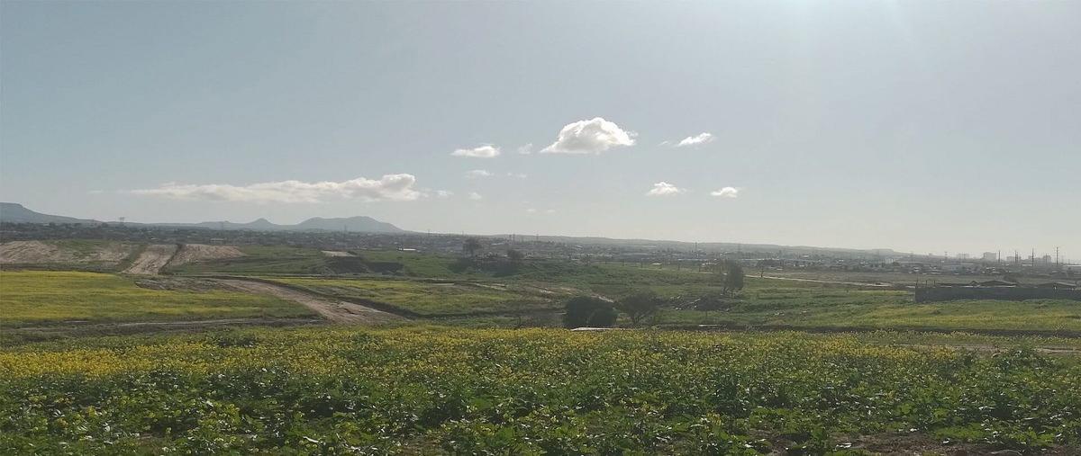 Foto de terreno habitacional en venta en centro de convenciones , costa dorada, tijuana, baja california, 26156162 No. 04