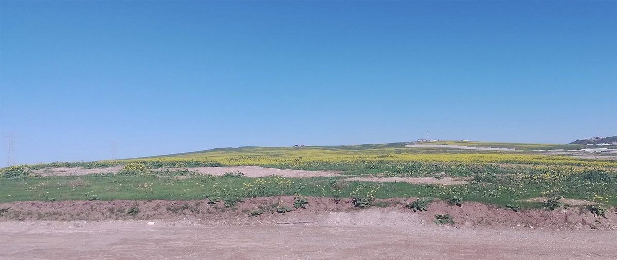 Foto de terreno habitacional en venta en centro de convenciones , costa dorada, tijuana, baja california, 26156162 No. 05