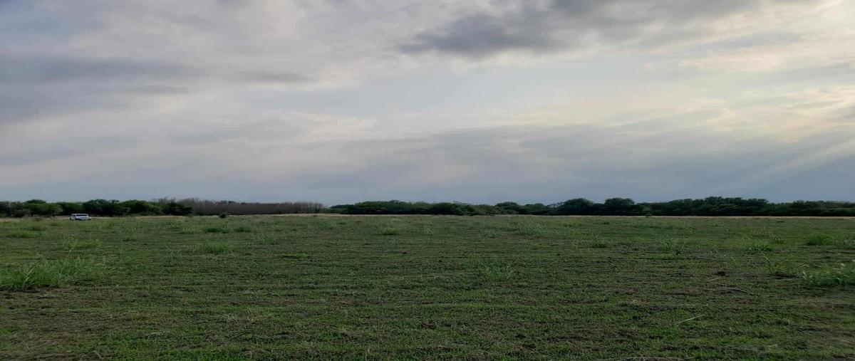 Foto de terreno habitacional en venta en centro , el granjenal, general terán, nuevo león, 30104394 No. 03