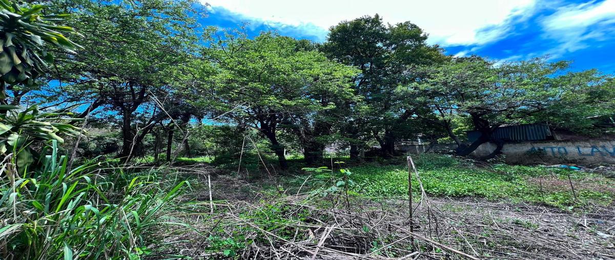 Foto de terreno habitacional en venta en  , centro, emiliano zapata, morelos, 0 No. 03