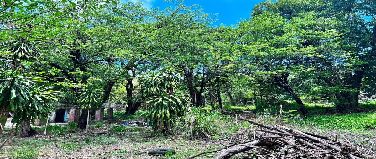 Foto de terreno habitacional en venta en  , centro, emiliano zapata, morelos, 0 No. 04