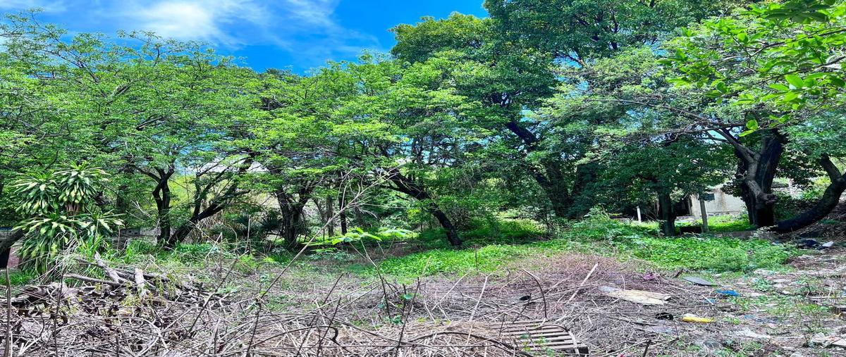 Foto de terreno habitacional en venta en  , centro, emiliano zapata, morelos, 0 No. 05