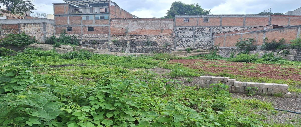 Foto de terreno habitacional en venta en  , centro histórico, morelia, michoacán de ocampo, 0 No. 05