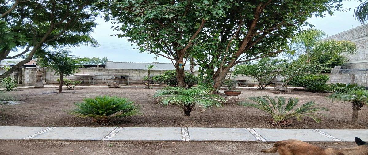 Foto de rancho en venta en centro , huimilpan centro, huimilpan, querétaro, 30745074 No. 05