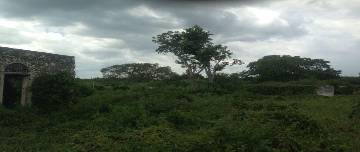 Foto de terreno habitacional en venta en  , centro hunucmá, hunucmá, yucatán, 11444944 No. 02