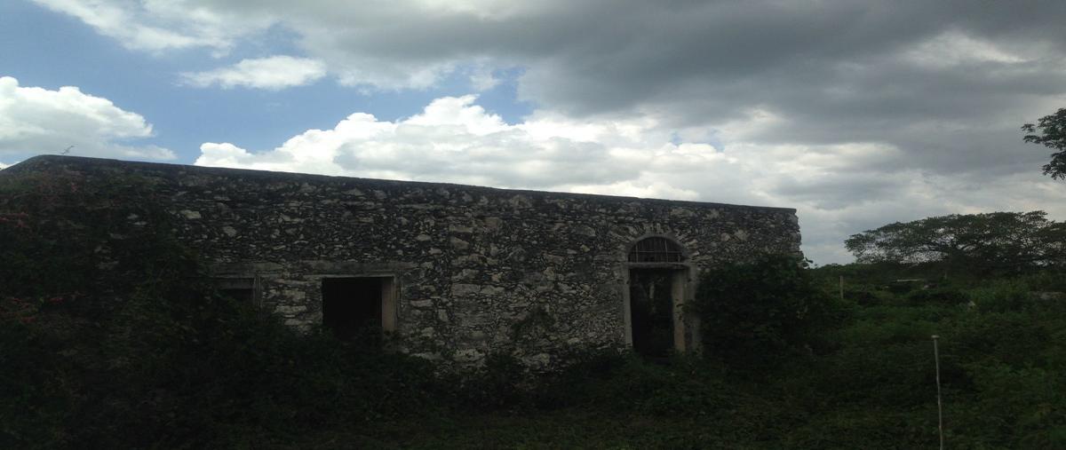 Foto de terreno habitacional en venta en  , centro hunucmá, hunucmá, yucatán, 11444944 No. 03