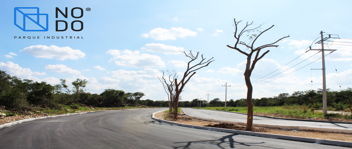 Foto de terreno comercial en venta en  , centro hunucmá, hunucmá, yucatán, 14258266 No. 04