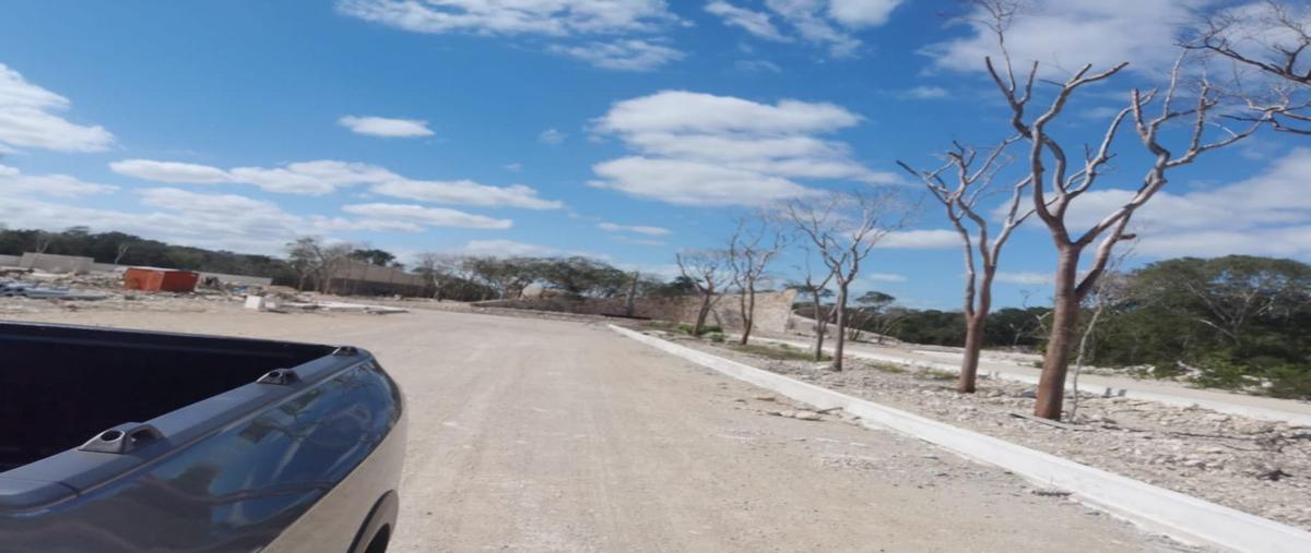 Foto de terreno habitacional en , centro hunucmá, hunucmá, yucatán, 19370264 foto 03 Foto de terreno habitacional en venta en , centro hunucmá, hunucmá, yucatán, 19370264 No. 03