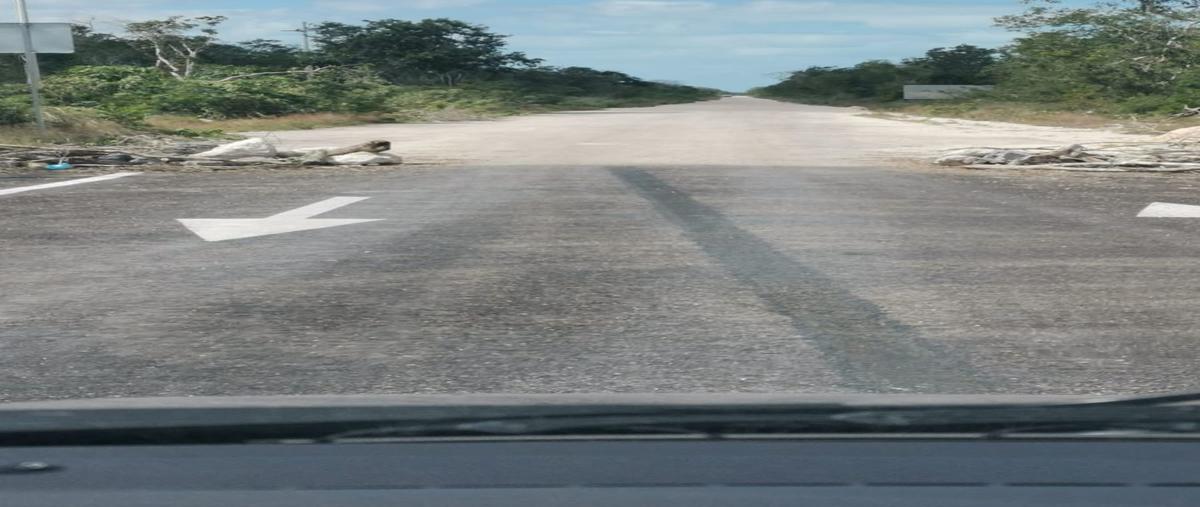 Foto de terreno habitacional en , centro hunucmá, hunucmá, yucatán, 19370264 foto 05 Foto de terreno habitacional en venta en , centro hunucmá, hunucmá, yucatán, 19370264 No. 05