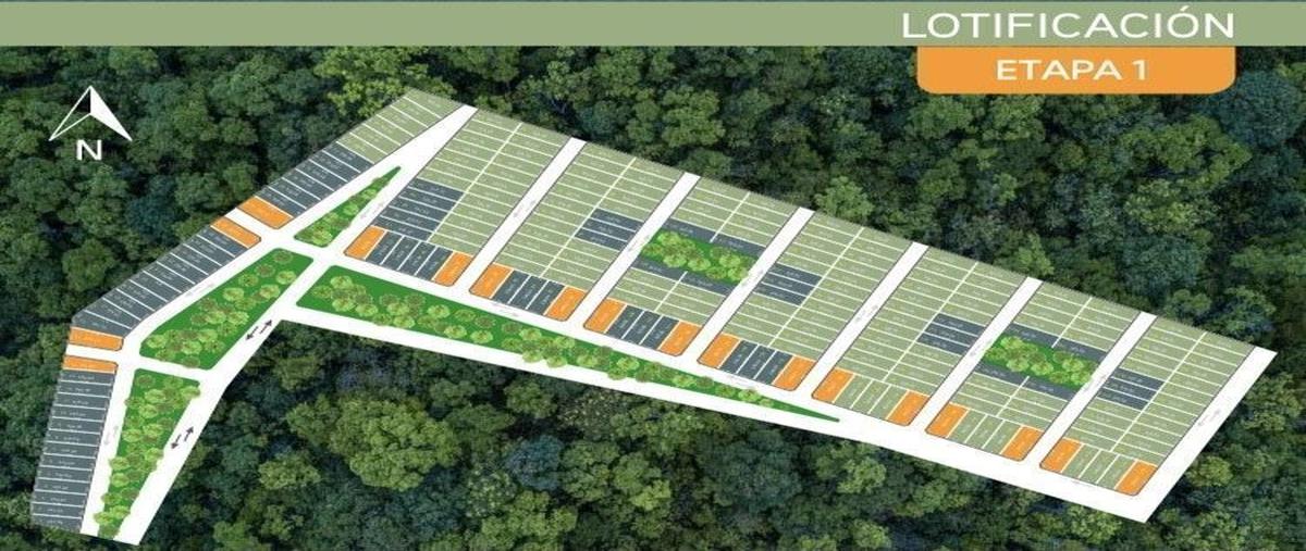 Foto de terreno habitacional en venta en  , centro hunucmá, hunucmá, yucatán, 22839154 No. 05