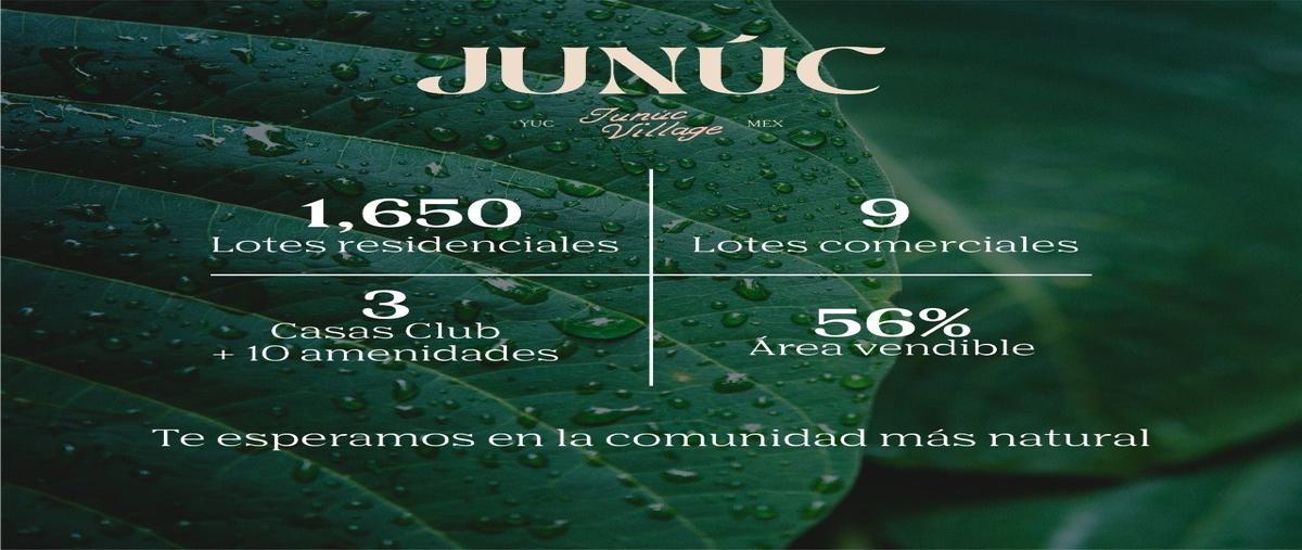 Foto de terreno habitacional en venta en  , centro hunucmá, hunucmá, yucatán, 23037102 No. 03