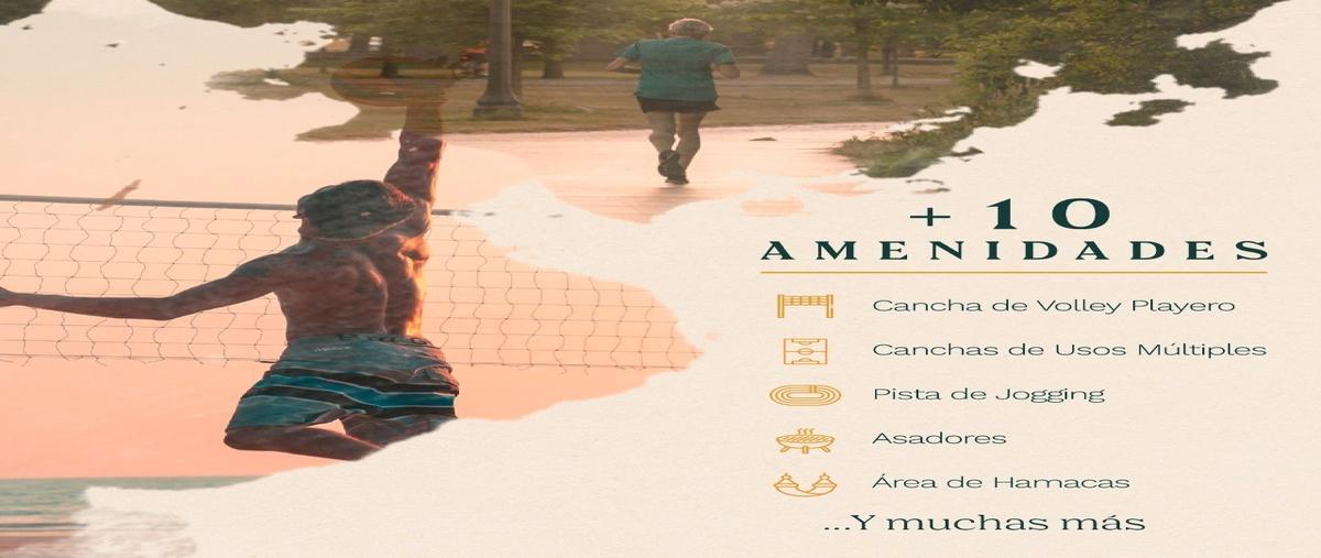 Foto de terreno habitacional en venta en  , centro hunucmá, hunucmá, yucatán, 23037102 No. 04