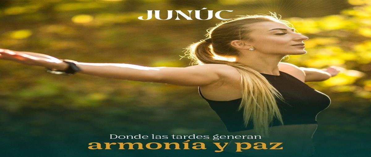 Foto de terreno habitacional en venta en  , centro hunucmá, hunucmá, yucatán, 23037102 No. 05