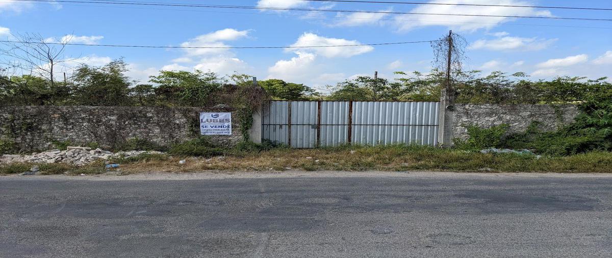 Foto de terreno habitacional en venta en  , centro hunucmá, hunucmá, yucatán, 25596390 No. 04