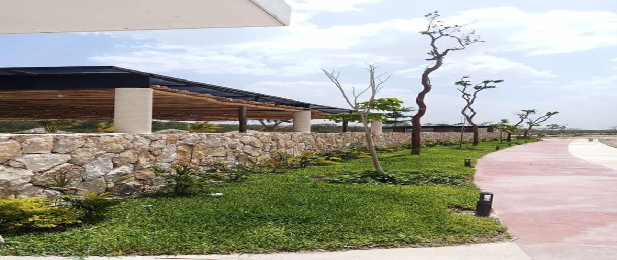 Foto de terreno habitacional en , centro hunucmá, hunucmá, yucatán, 26144296 foto 01 Foto de terreno habitacional en venta en , centro hunucmá, hunucmá, yucatán, 26144296 No. 01