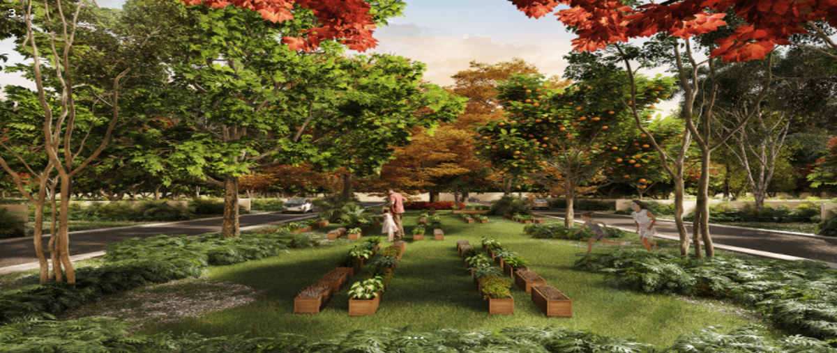 Foto de terreno habitacional en , centro hunucmá, hunucmá, yucatán, 26605511 foto 01 Foto de terreno habitacional en venta en , centro hunucmá, hunucmá, yucatán, 26605511 No. 01