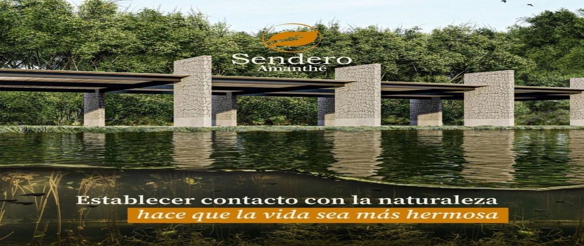 Foto de terreno habitacional en venta en  , centro hunucmá, hunucmá, yucatán, 26610962 No. 05
