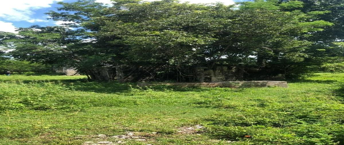 Foto de terreno habitacional en , centro hunucmá, hunucmá, yucatán, 26622515 foto 02 Foto de terreno habitacional en venta en , centro hunucmá, hunucmá, yucatán, 26622515 No. 02