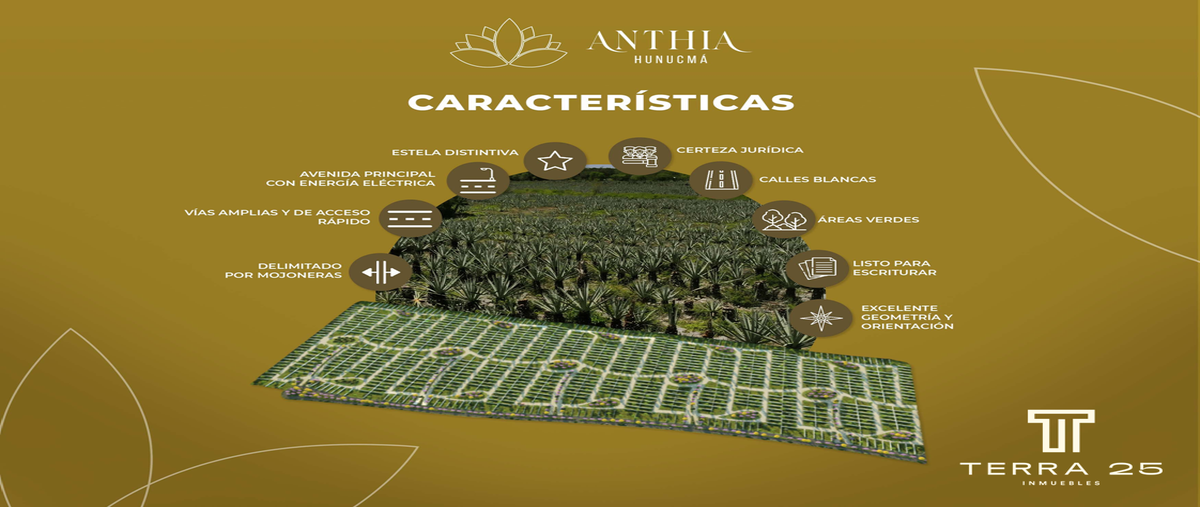 Foto de terreno habitacional en venta en  , centro hunucmá, hunucmá, yucatán, 26718955 No. 05