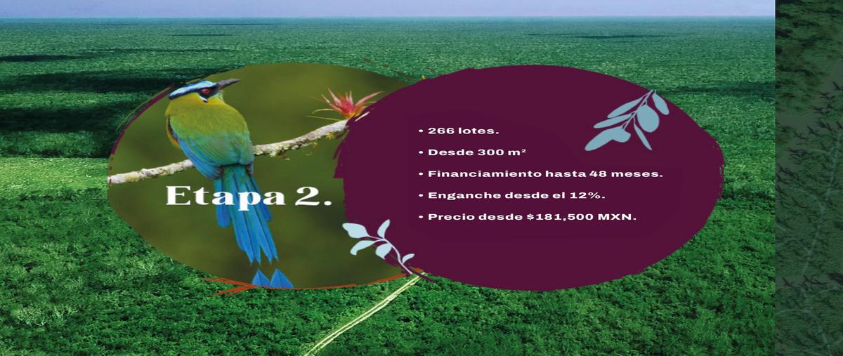 Foto de terreno habitacional en venta en  , centro hunucmá, hunucmá, yucatán, 0 No. 04