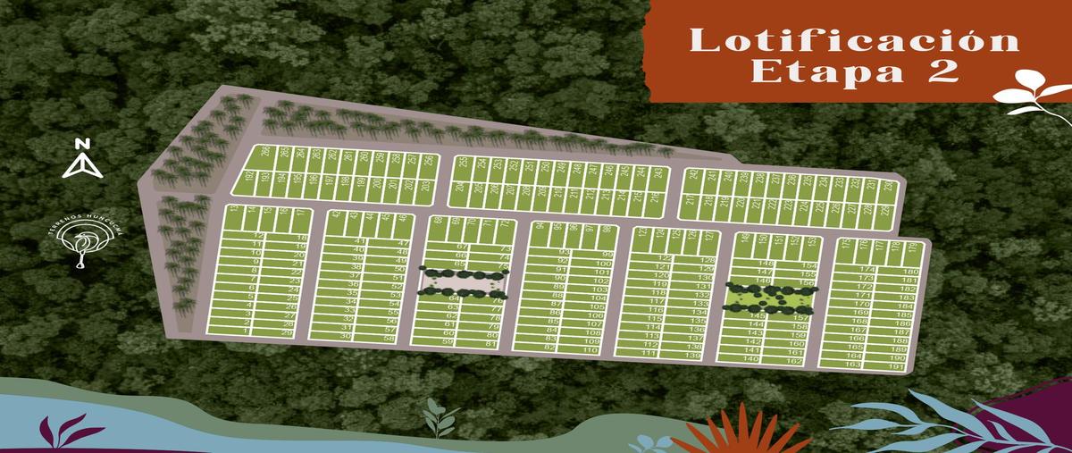 Foto de terreno habitacional en venta en  , centro hunucmá, hunucmá, yucatán, 0 No. 05