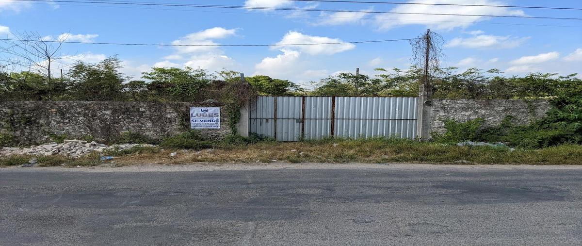 Foto de terreno habitacional en venta en  , centro hunucmá, hunucmá, yucatán, 0 No. 05
