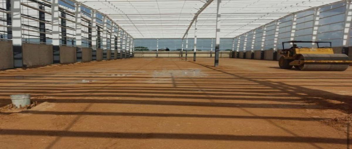 Foto de nave industrial en venta en  , centro hunucmá, hunucmá, yucatán, 0 No. 04