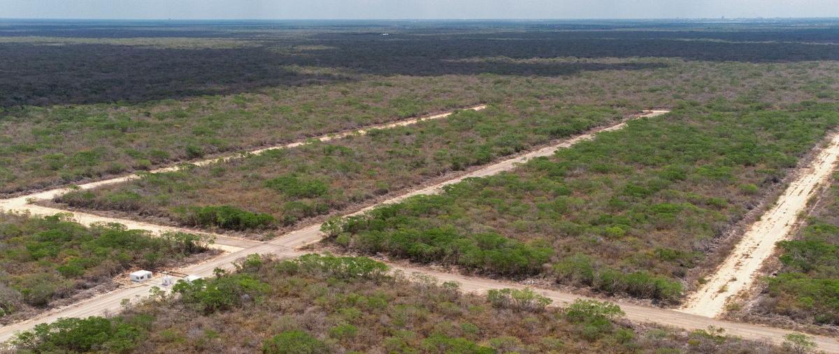 Foto de terreno habitacional en venta en  , centro hunucmá, hunucmá, yucatán, 27787828 No. 03