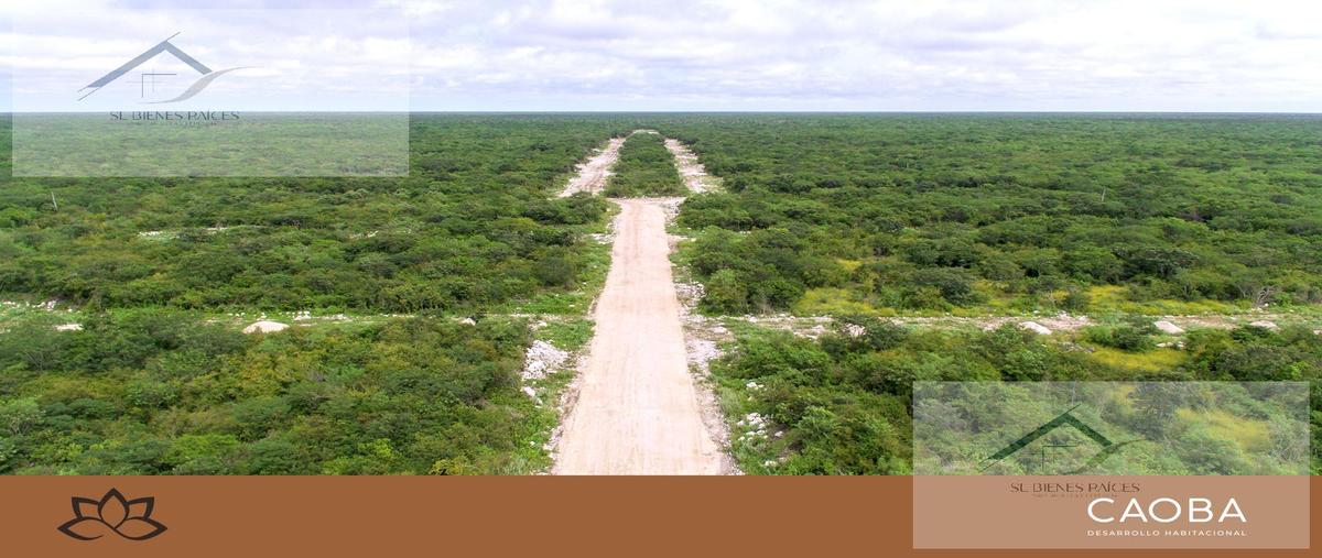 Foto de terreno habitacional en venta en  , centro hunucmá, hunucmá, yucatán, 0 No. 03