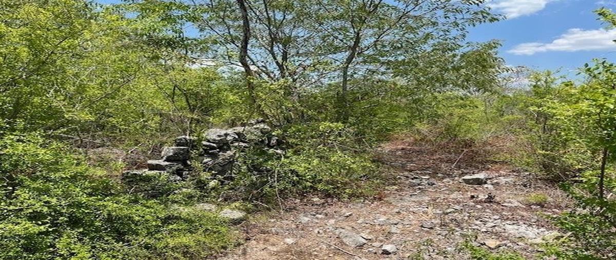 Foto de terreno habitacional en venta en  , centro hunucmá, hunucmá, yucatán, 28134149 No. 05