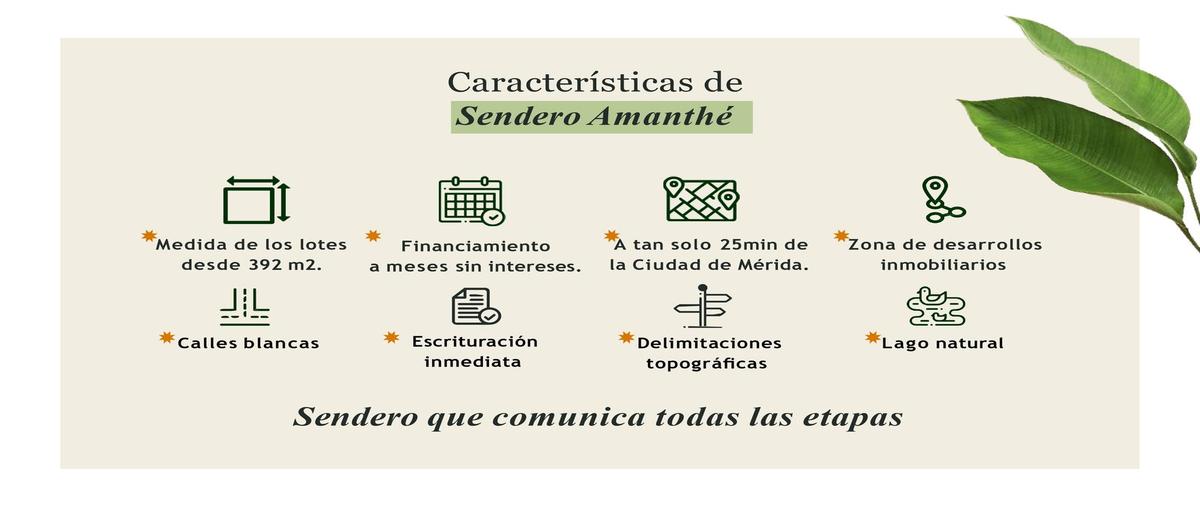 Foto de terreno habitacional en venta en  , centro hunucmá, hunucmá, yucatán, 0 No. 04