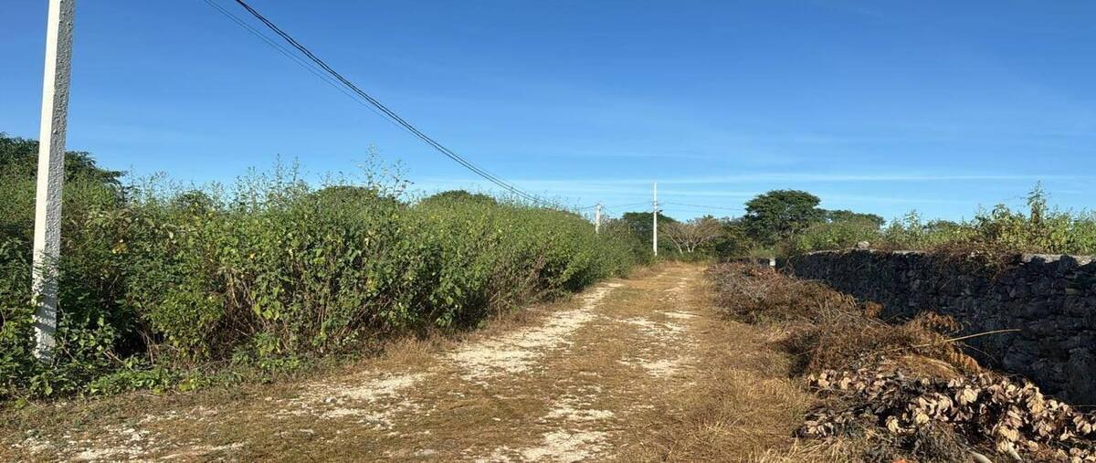 Foto de terreno habitacional en , centro hunucmá, hunucmá, yucatán, 0 foto 02 Foto de terreno habitacional en venta en , centro hunucmá, hunucmá, yucatán, 0 No. 02