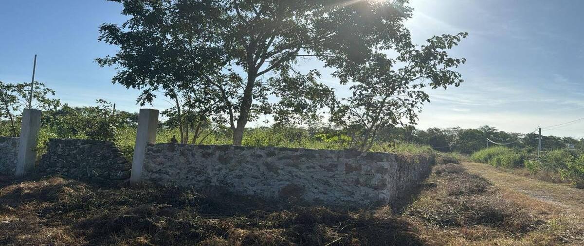 Foto de terreno habitacional en , centro hunucmá, hunucmá, yucatán, 0 foto 04 Foto de terreno habitacional en venta en , centro hunucmá, hunucmá, yucatán, 0 No. 04