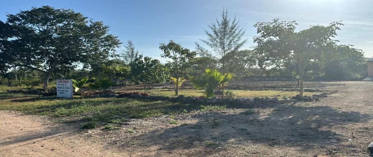 Foto de terreno habitacional en , centro hunucmá, hunucmá, yucatán, 0 foto 05 Foto de terreno habitacional en venta en , centro hunucmá, hunucmá, yucatán, 0 No. 05