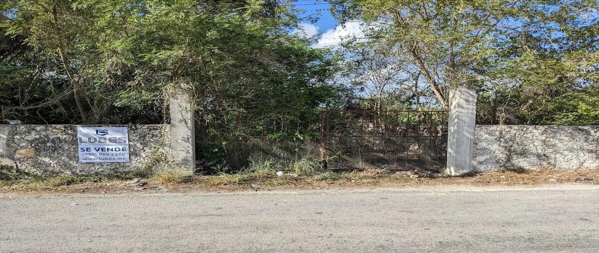 Foto de terreno habitacional en venta en  , centro hunucmá, hunucmá, yucatán, 29472686 No. 04