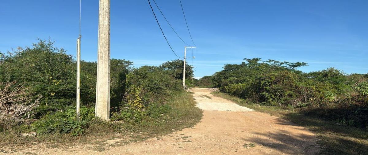 Foto de terreno habitacional en venta en  , centro hunucmá, hunucmá, yucatán, 0 No. 03
