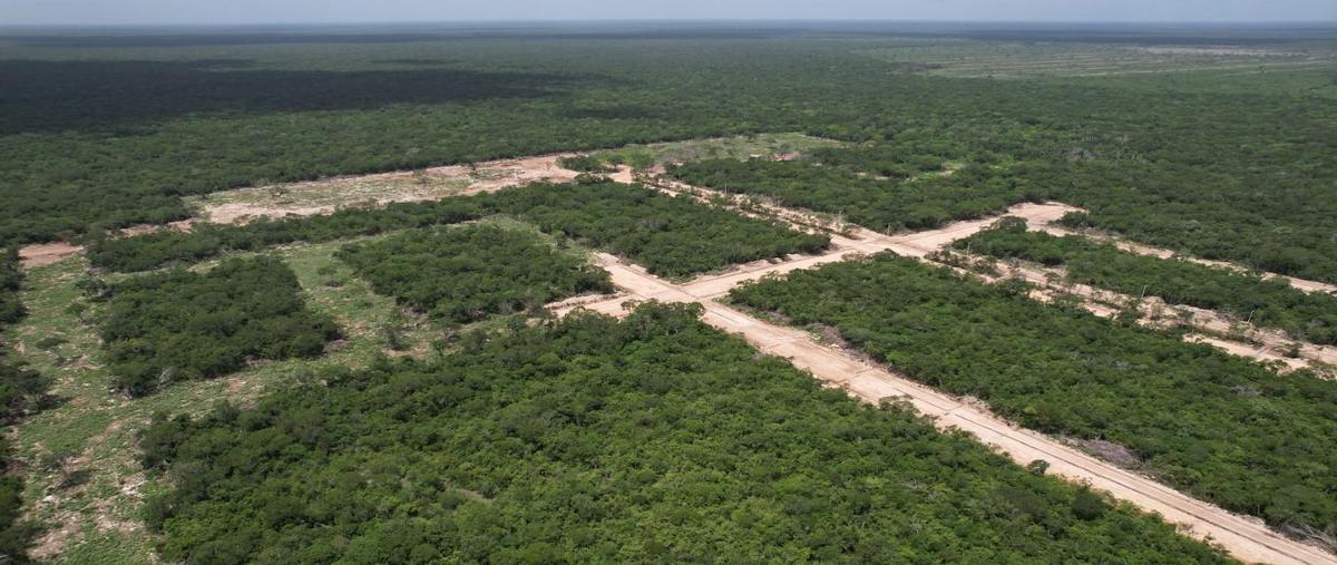 Foto de terreno habitacional en venta en  , centro hunucmá, hunucmá, yucatán, 0 No. 05