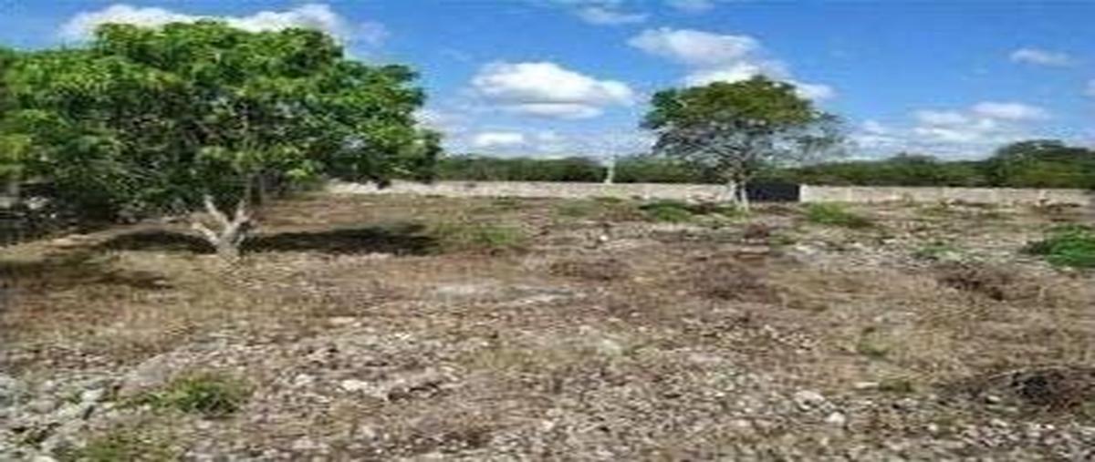 Foto de terreno habitacional en , centro hunucmá, hunucmá, yucatán, 0 foto 02 Foto de terreno habitacional en venta en , centro hunucmá, hunucmá, yucatán, 0 No. 02