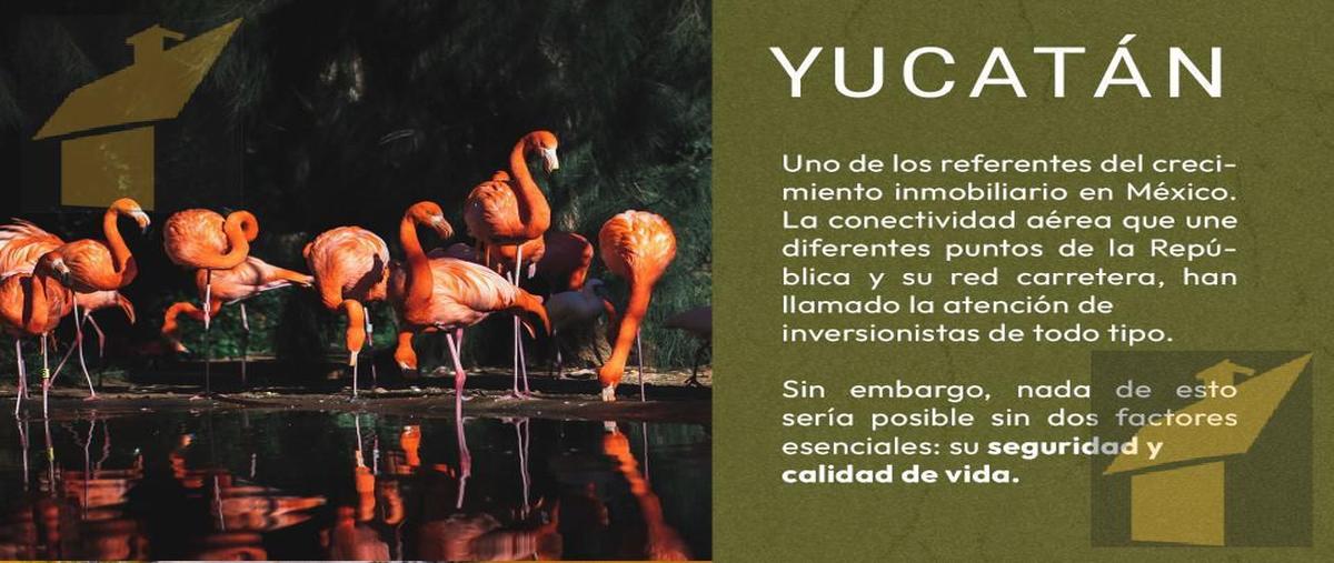 Foto de terreno habitacional en venta en  , centro hunucmá, hunucmá, yucatán, 0 No. 04