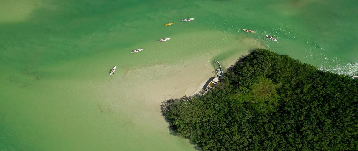 Foto de terreno habitacional en venta en  , centro hunucmá, hunucmá, yucatán, 0 No. 03