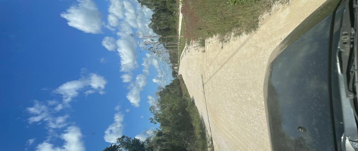 Foto de terreno habitacional en venta en  , centro hunucmá, hunucmá, yucatán, 0 No. 05
