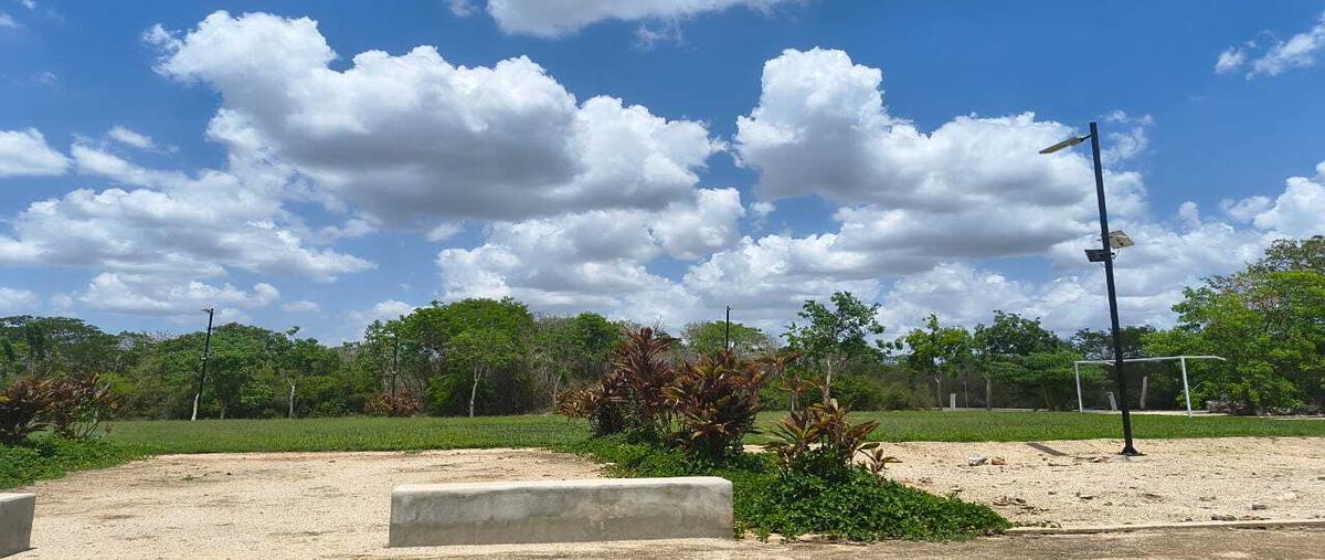 Foto de terreno habitacional en , centro hunucmá, hunucmá, yucatán, 30046941 foto 03 Foto de terreno habitacional en venta en , centro hunucmá, hunucmá, yucatán, 30046941 No. 03