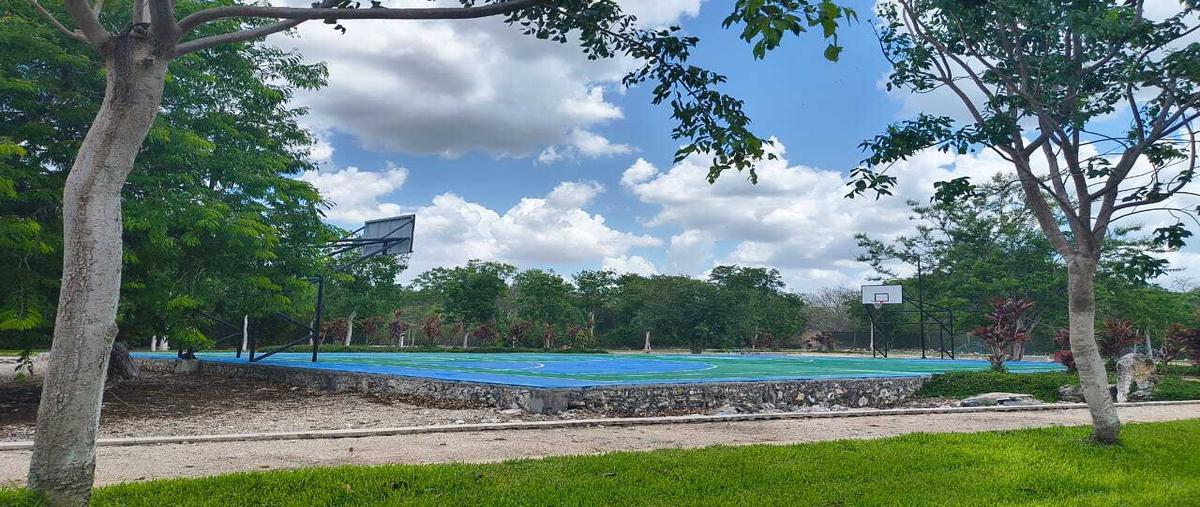 Foto de terreno habitacional en , centro hunucmá, hunucmá, yucatán, 30046941 foto 05 Foto de terreno habitacional en venta en , centro hunucmá, hunucmá, yucatán, 30046941 No. 05