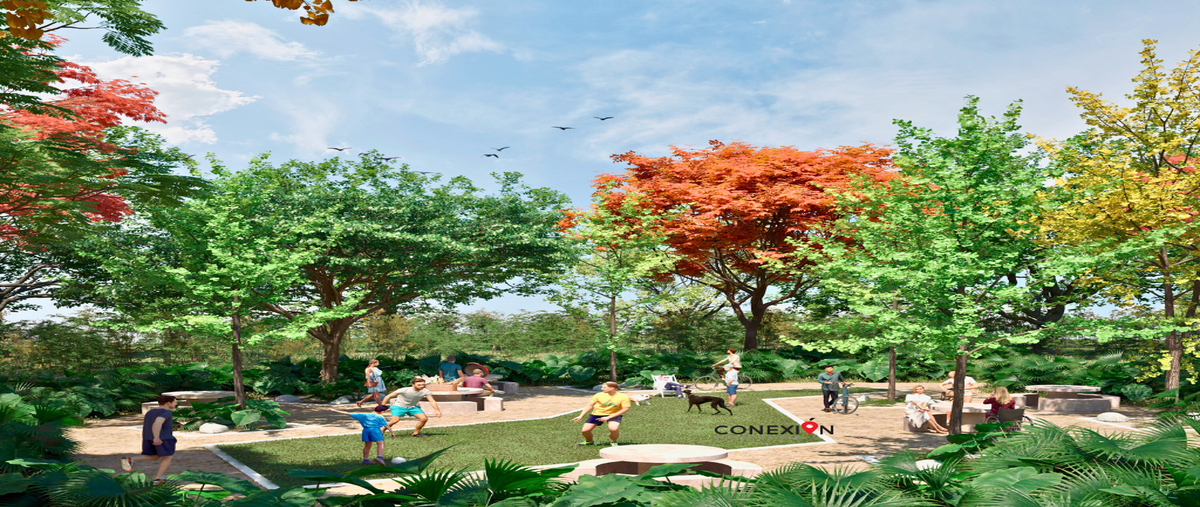 Foto de terreno habitacional en venta en  , centro hunucmá, hunucmá, yucatán, 0 No. 03