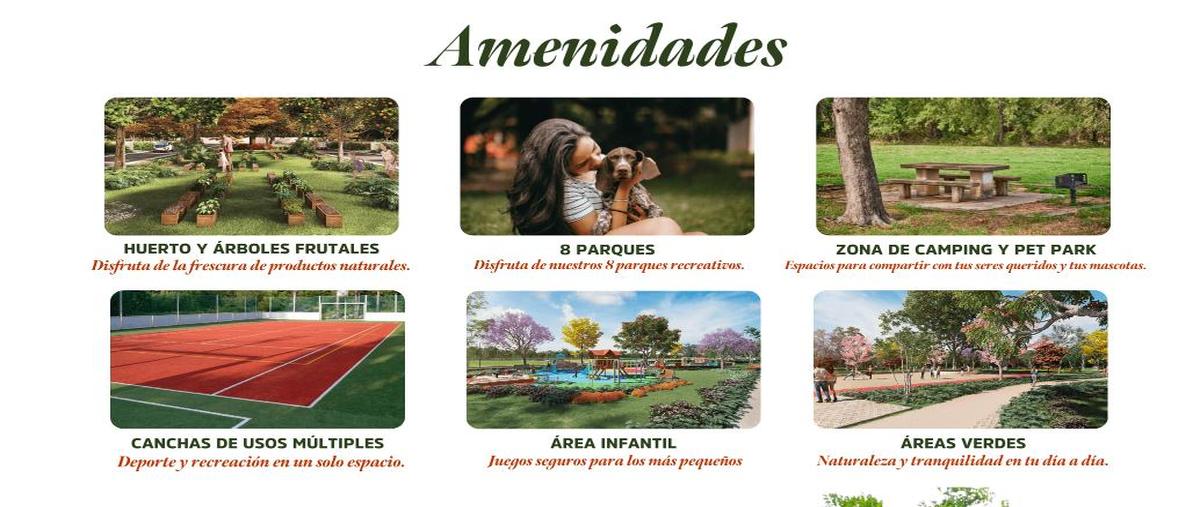 Foto de terreno habitacional en venta en  , centro hunucmá, hunucmá, yucatán, 0 No. 04