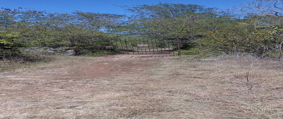 Foto de terreno habitacional en venta en  , centro hunucmá, hunucmá, yucatán, 0 No. 04