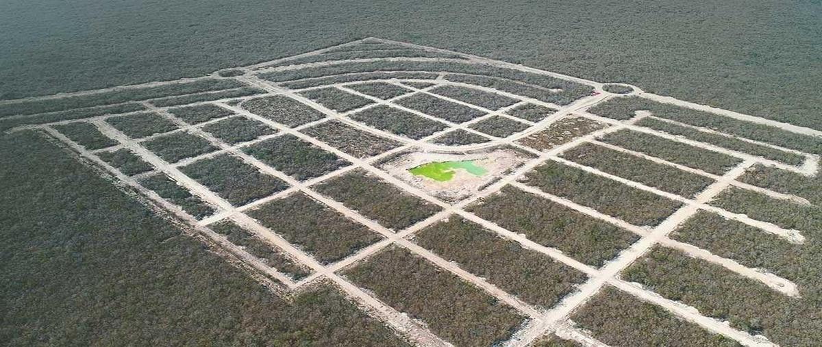Foto de terreno habitacional en , centro hunucmá, hunucmá, yucatán, 0 foto 02 Foto de terreno habitacional en venta en , centro hunucmá, hunucmá, yucatán, 0 No. 02