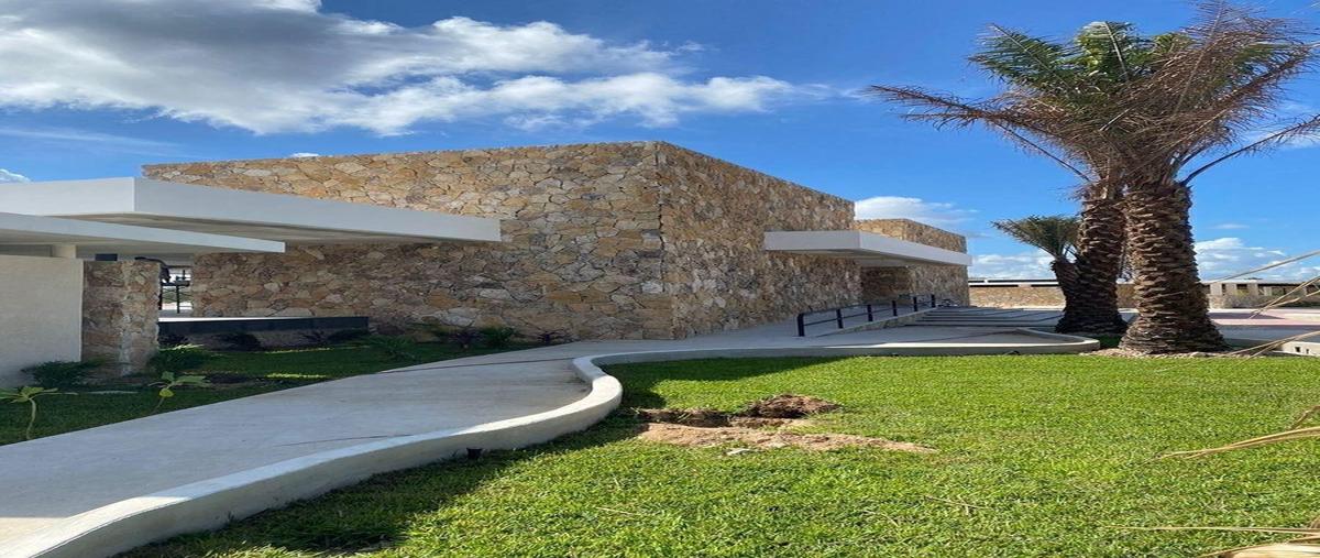 Foto de terreno habitacional en , centro hunucmá, hunucmá, yucatán, 30525981 foto 05 Foto de terreno habitacional en venta en , centro hunucmá, hunucmá, yucatán, 30525981 No. 05