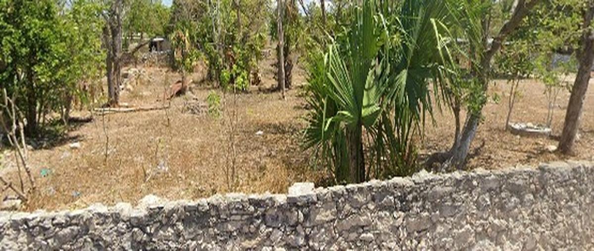 Foto de terreno habitacional en renta en  , centro hunucmá, hunucmá, yucatán, 0 No. 04