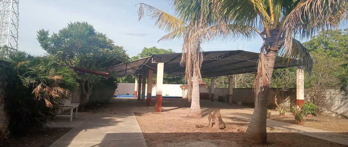 Foto de local en renta en  , centro hunucmá, hunucmá, yucatán, 0 No. 05